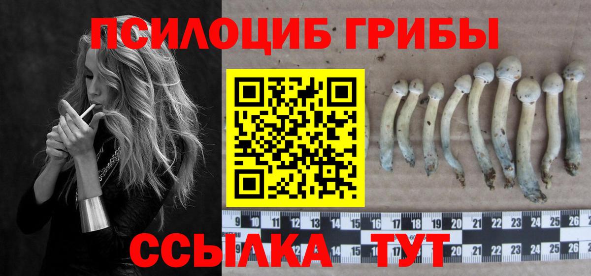 закладки  Псилоцибиновые грибы мухоморы  Вход с VPN  Вязьма 
